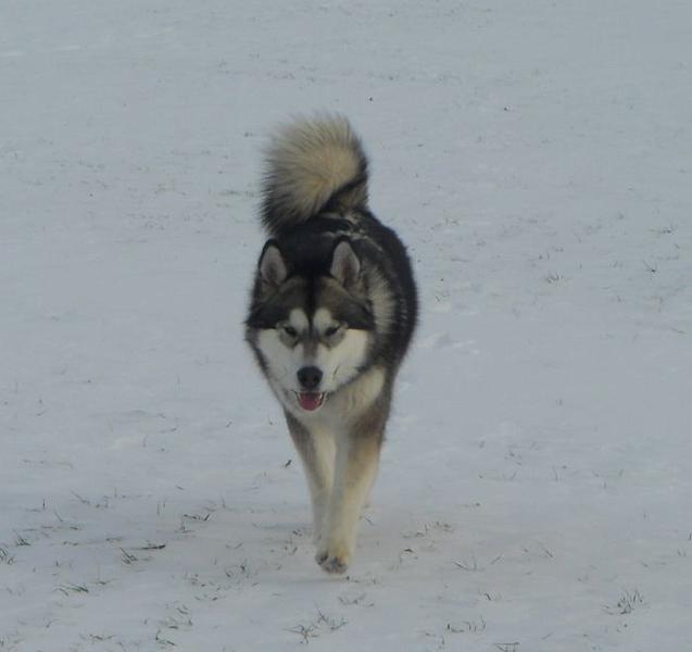 scout 12-2010 12.jpg